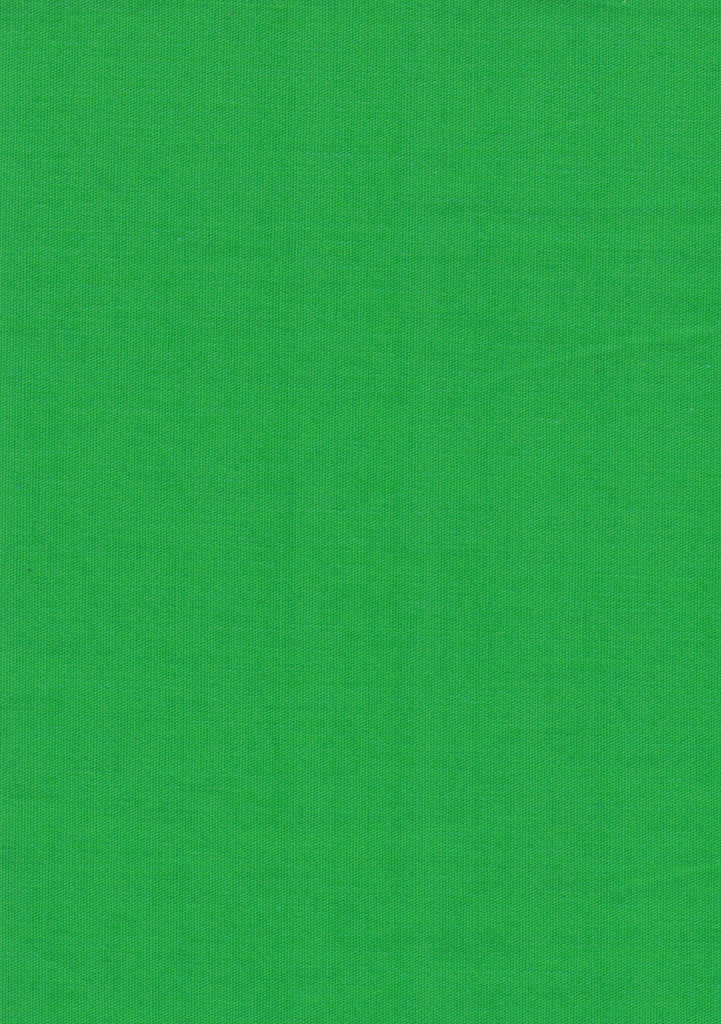 Solid Apple Green Top