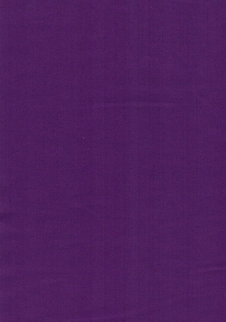 Solid Violet Top